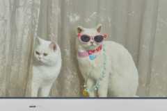 10521