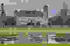 11206