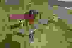 11208
