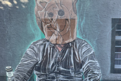 11678