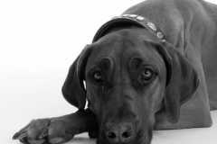 20140506_engelbert-heidi_255