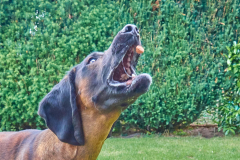 11550