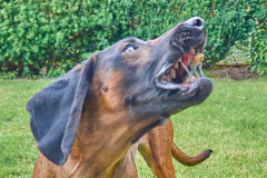 11554