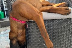 c3801298-862b-45bc-887f-6dda98ac7917